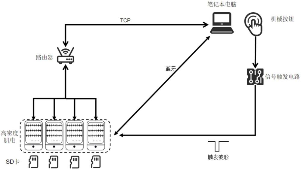 基于HD-sEMG和神經(jīng)元分析的運(yùn)動(dòng)障礙治療效果評(píng)估系統(tǒng)