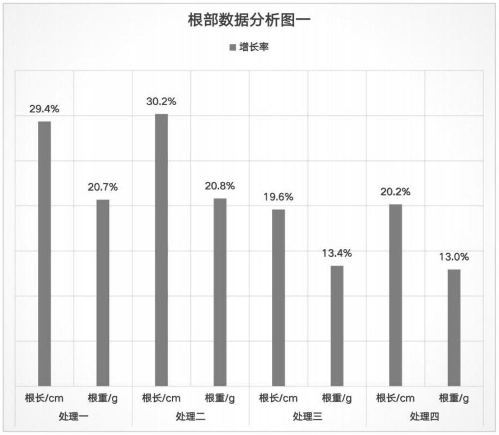 一種通過施用羊棲菜海藻酸肥料提高馬鈴薯產(chǎn)量和品質(zhì)的方法與流程