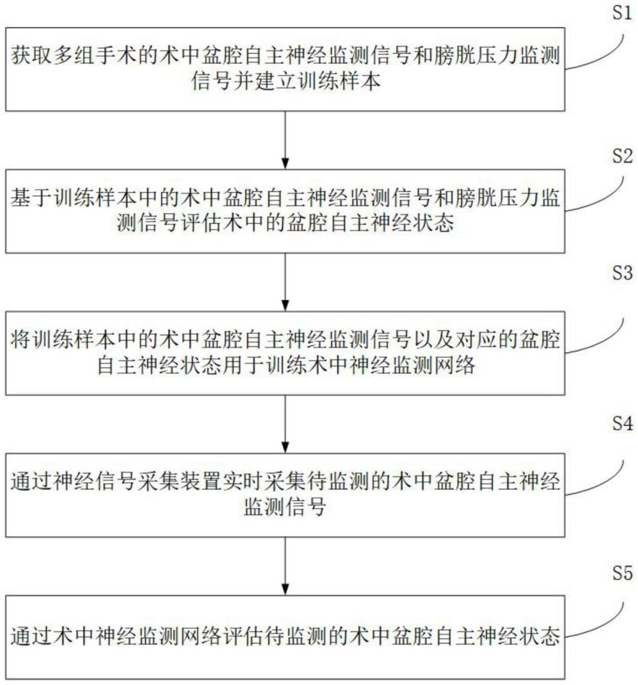 一種盆腔自主神經(jīng)術中神經(jīng)監(jiān)測方法及系統(tǒng)與流程