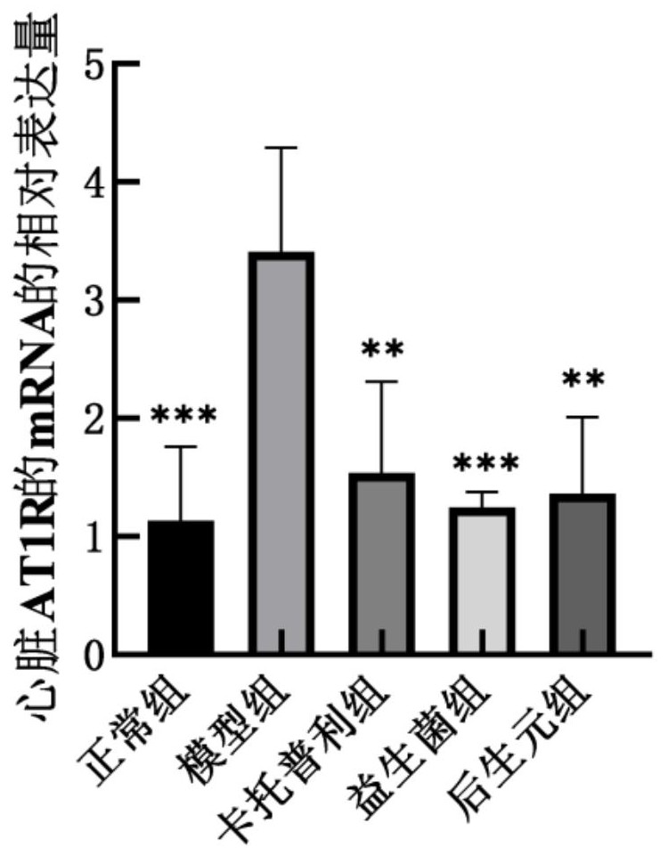 下調血管緊張素受體基因表達水平的植物乳植桿菌IOB602及其應用的制作方法