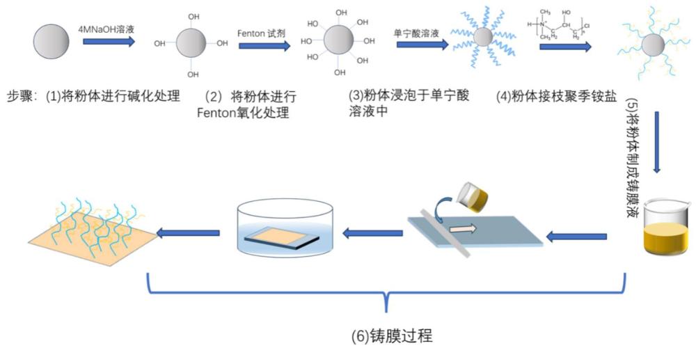 一種基于PVDF粉體改性制備防污高效油水分離膜的方法和應(yīng)用