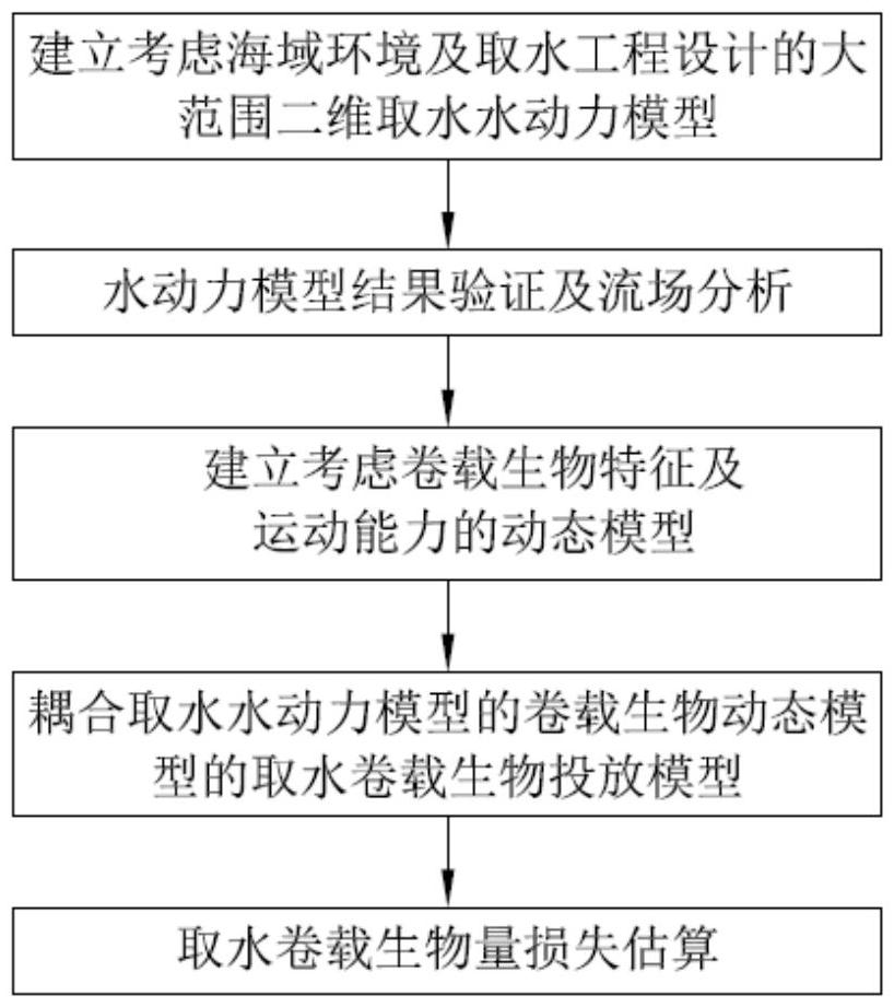 考慮不同生物特點(diǎn)的電廠取水卷載生物量損失估算方法與流程