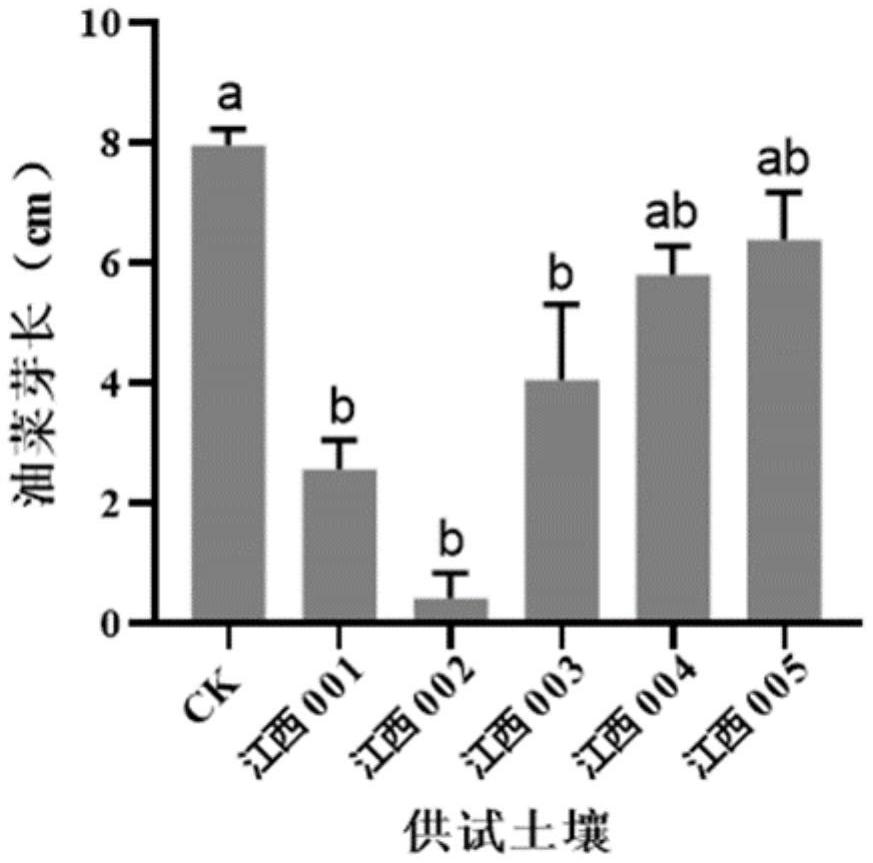 一種快速評(píng)估土壤毒性的檢測(cè)方法