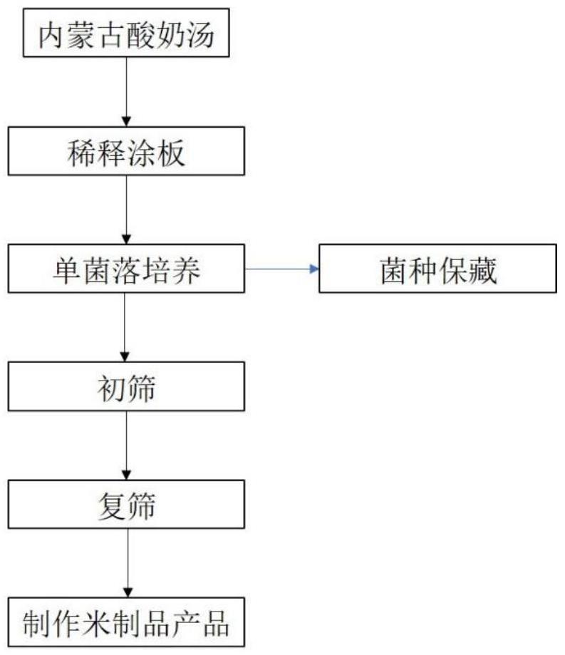 一株羅伊氏粘液乳桿菌INM3109及其在米制品的應(yīng)用的制作方法