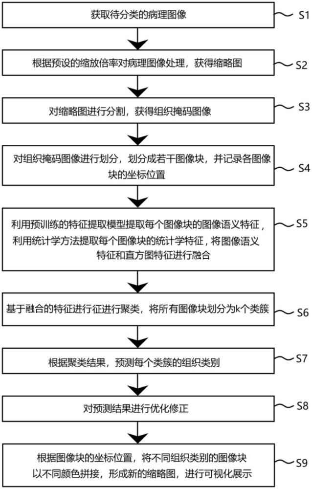 基于自適應(yīng)聚類的病理圖像內(nèi)組織分類方法及設(shè)備與流程