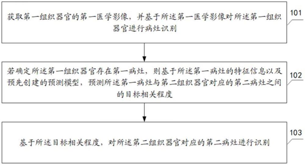 出血風(fēng)險評估方法、裝置、設(shè)備和計算機(jī)可讀存儲介質(zhì)