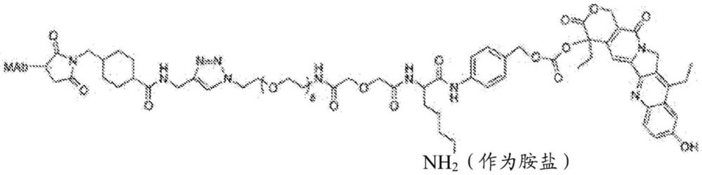 用于治療表達(dá)Trop-2的癌癥的組合療法的制作方法