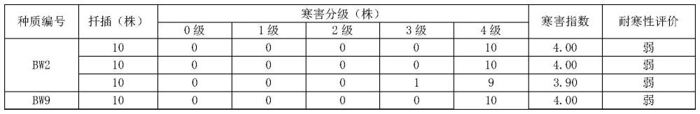 一種茄子砧木耐寒性評(píng)價(jià)方法