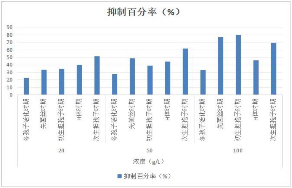 小麥光腥黑粉菌菌懸液在抑制茄病鐮刀菌中的應用