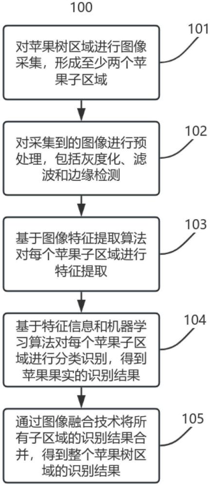 多果重疊及存在復(fù)雜遮擋物情況下的蘋果果實(shí)圖像識別方法