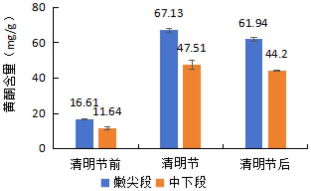 一种高活性物质含量的嫩艾草粉及其制备方法与流程