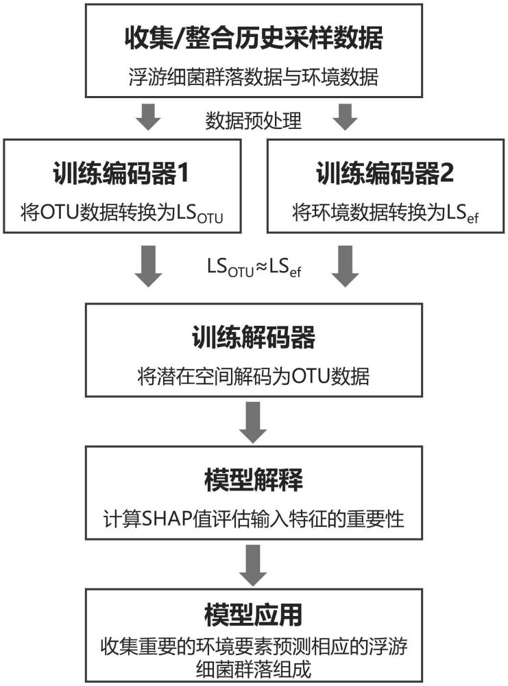 基于人工神經(jīng)網(wǎng)絡(luò)自編碼器的河流浮游細菌群落組成預測方法與流程