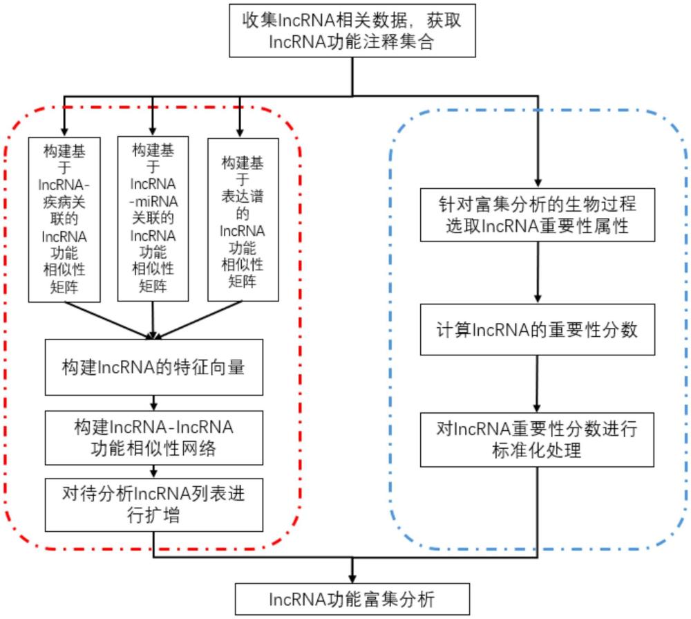 基于異構(gòu)網(wǎng)絡(luò)融合和重要性的lncRNA功能富集分析方法