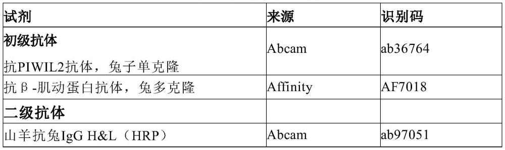 PIWIL2和miR-146a-3p在甲狀腺癌診斷和治療中的應(yīng)用的制作方法