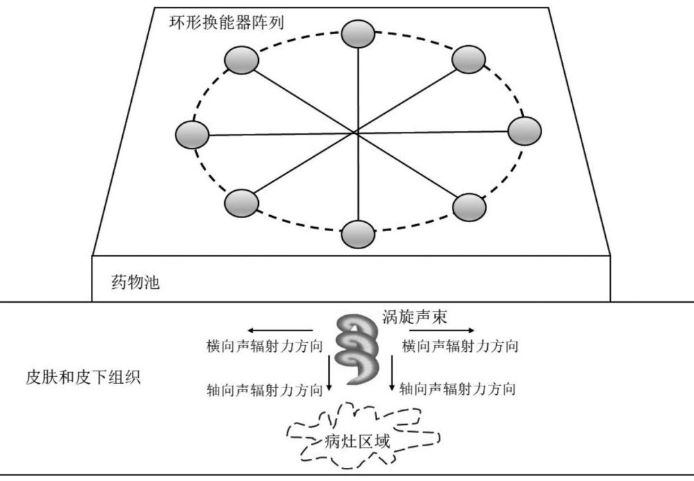 一種渦旋超聲透皮給藥裝置及方法與流程