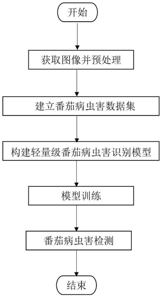 一種基于輕量級網(wǎng)絡(luò)的番茄病蟲害識別研究方法