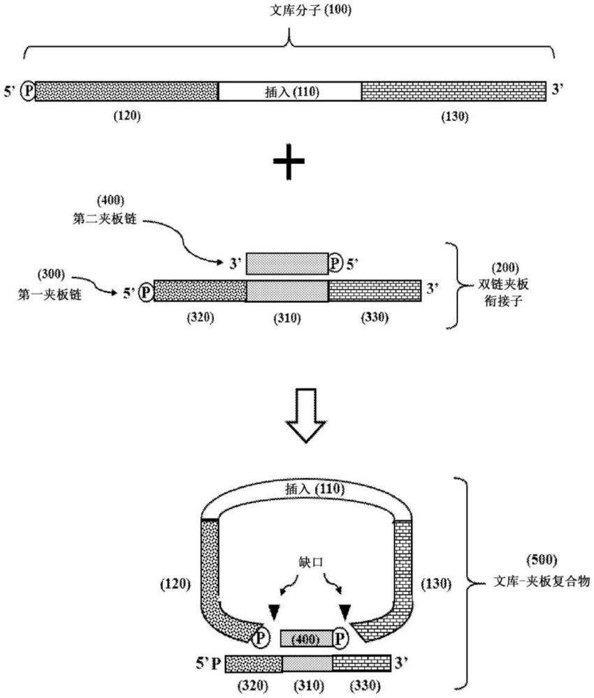 雙鏈夾板銜接子和使用方法與流程