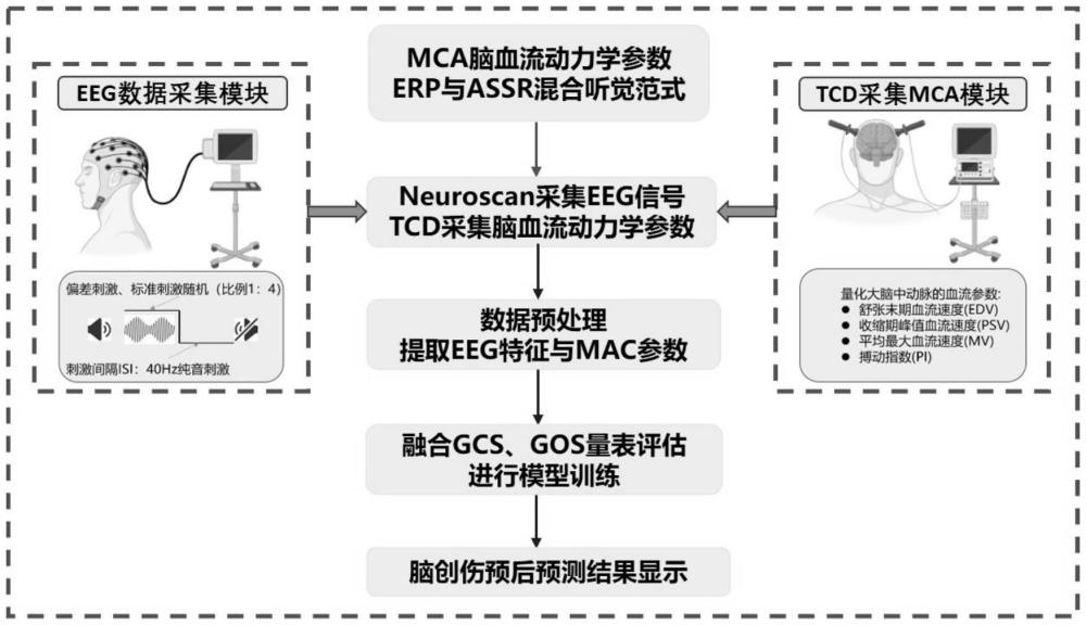 一種急性腦創(chuàng)傷預后檢測系統(tǒng)