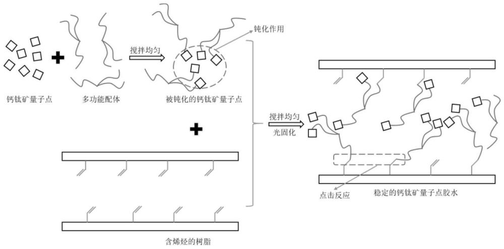 一種鈣鈦礦量子點膠水及其制備方法和應用與流程