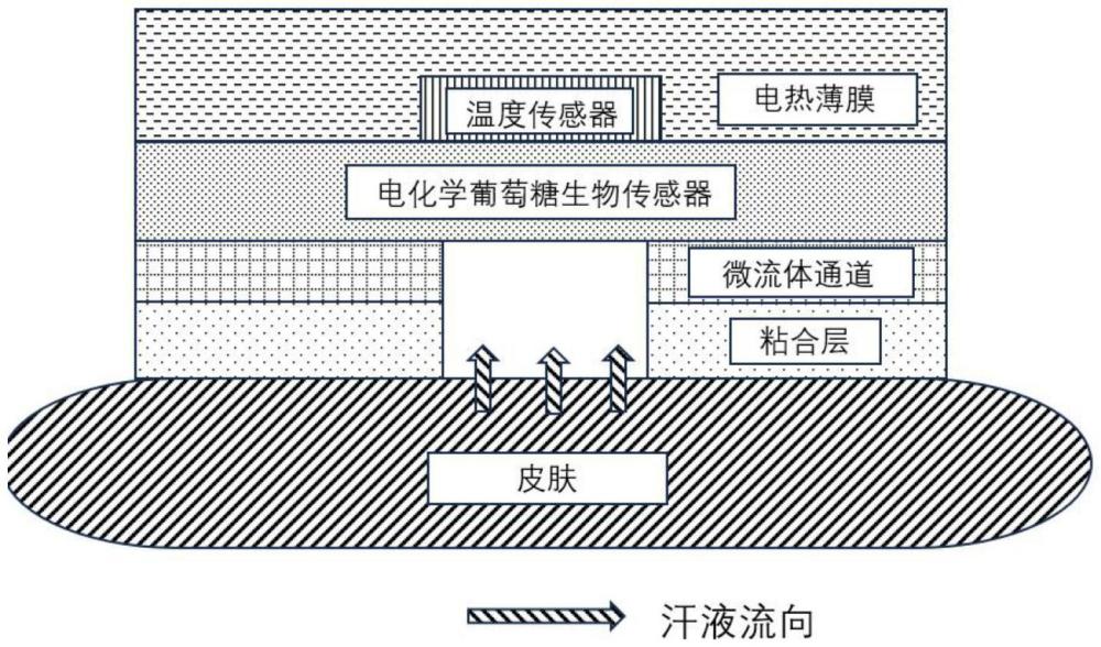 一種用于汗液中葡萄糖檢測的可穿戴貼片及其制備方法與應用