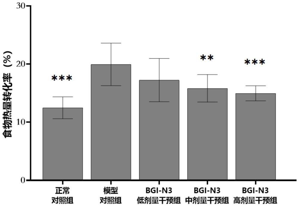 動物雙歧桿菌乳亞種或組合物在制備用于預防和/或治療代謝性疾病的產(chǎn)品中的應用的制作方法