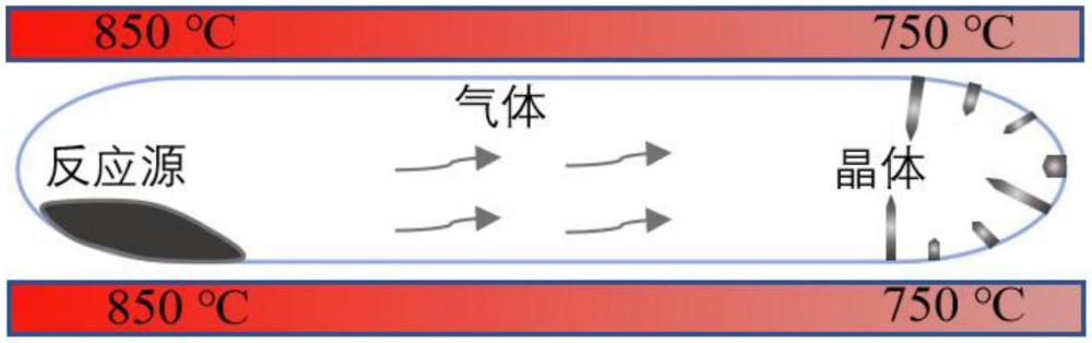 一種二維鐵磁單晶Cr1-xVxI3及其制備方法和應(yīng)用