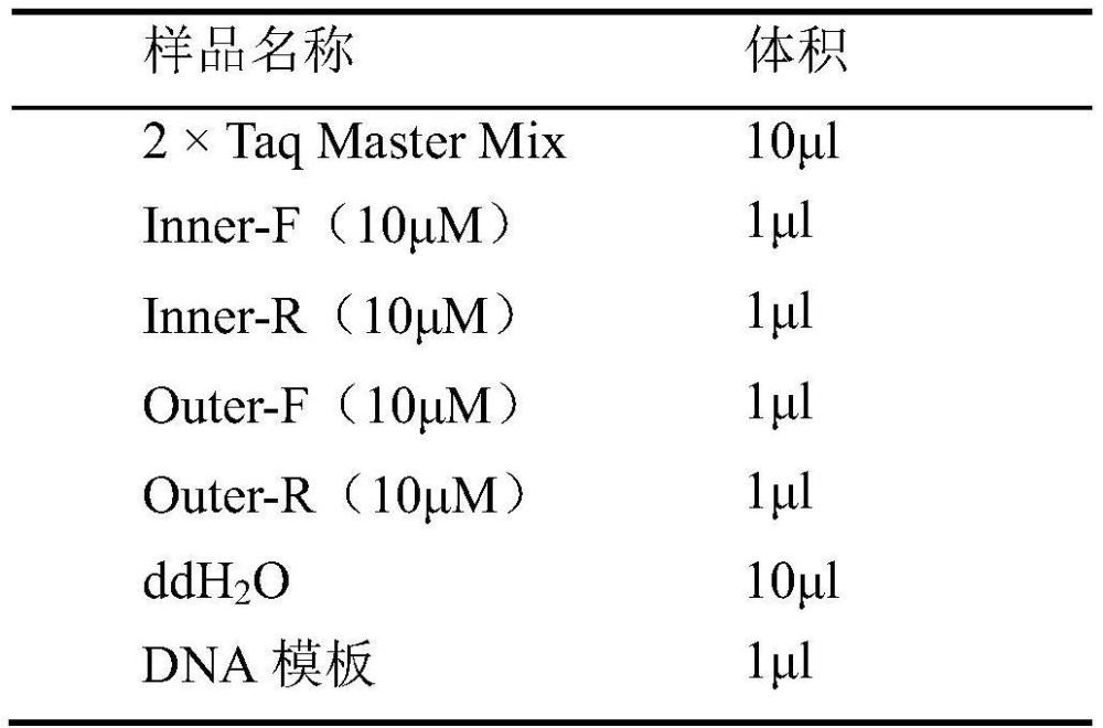 用于片形吸蟲的ARMS-PCR引物組、試劑盒及方法