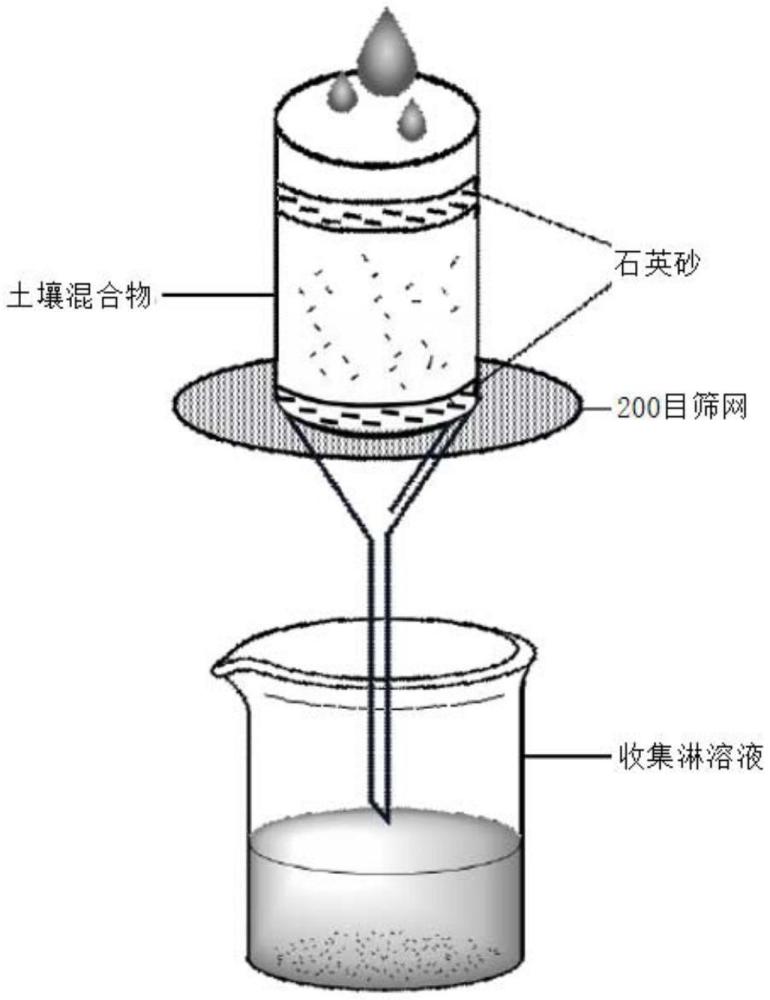 陽離子型聚合物及其在土壤改良中的應(yīng)用的制作方法