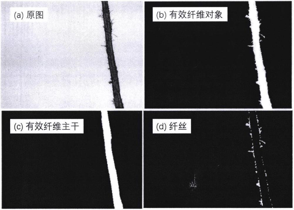 一種纖維帚化率的測(cè)量與計(jì)算方法