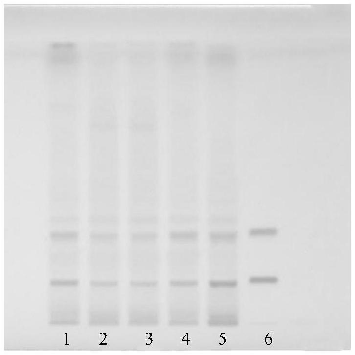 一種薄層圖譜的顯色方法與流程