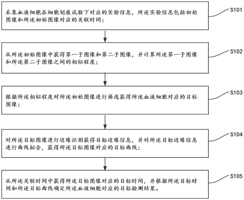 一种血液细胞迁移能力的检测方法以及系统与流程