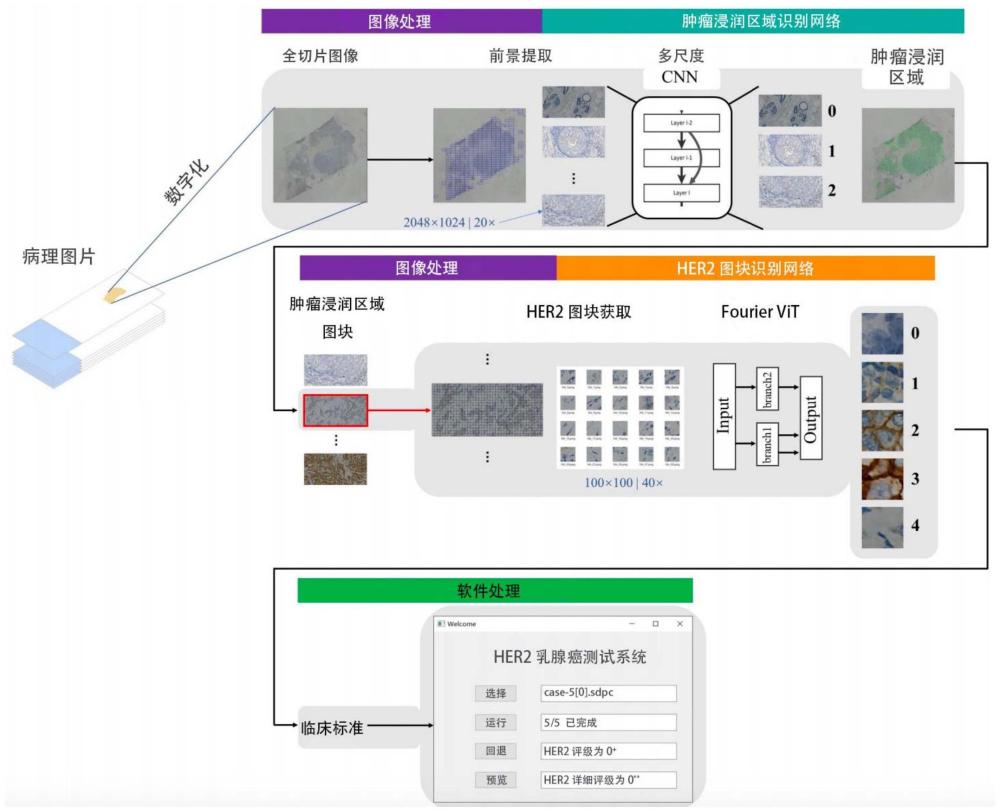 一種基于深度學(xué)習(xí)的高分辨率乳腺癌HER2評(píng)分方法