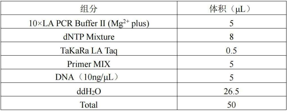 用于PWS/AS快速診斷的引物組、試劑盒及系統(tǒng)的制作方法