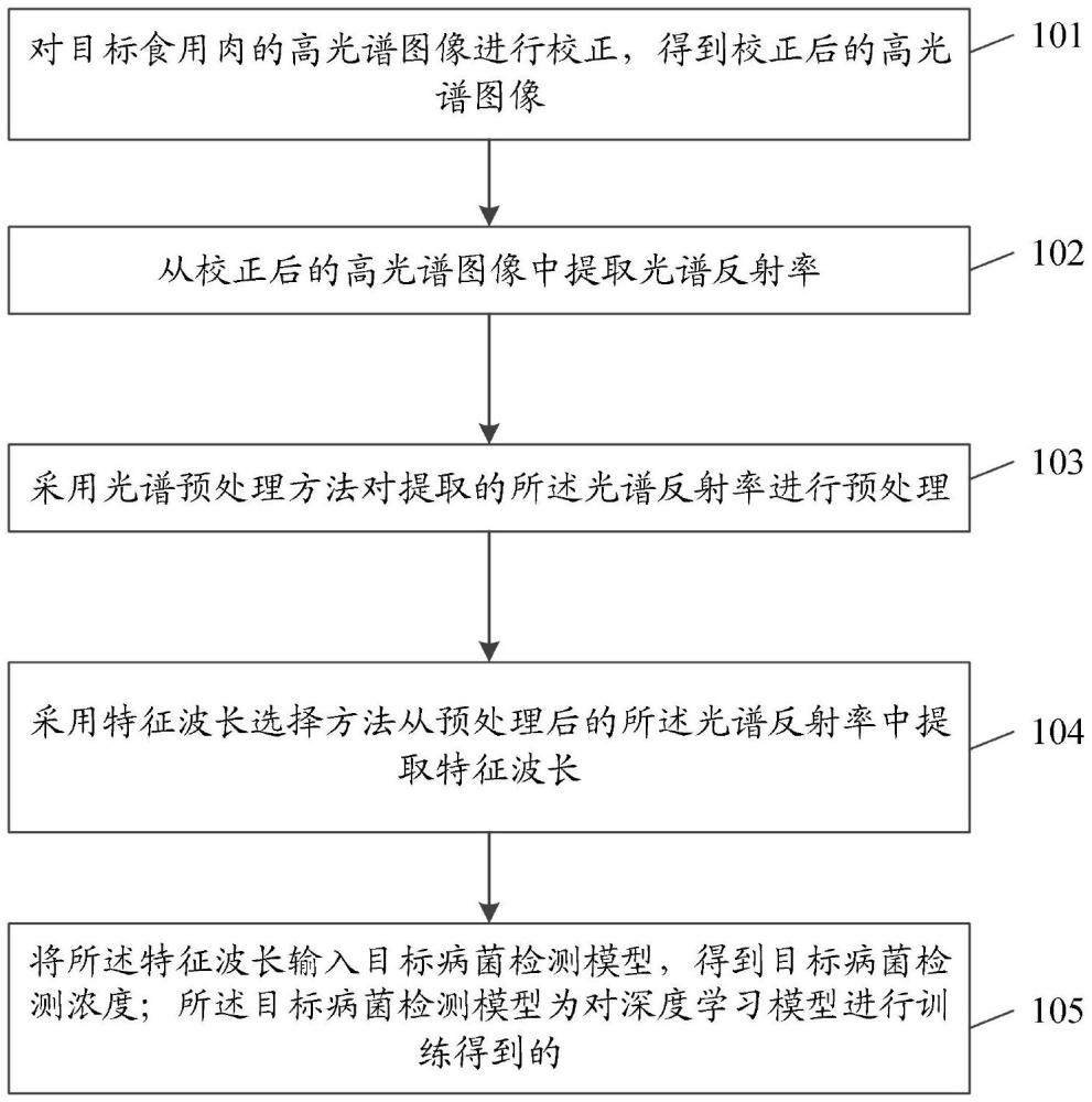 一種基于深度學(xué)習(xí)的食用肉中病菌檢測(cè)方法、裝置、設(shè)備及介質(zhì)