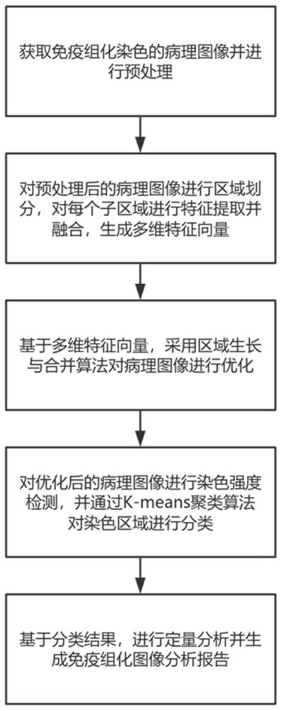 一種免疫組化數(shù)字病理圖像處理方法與流程