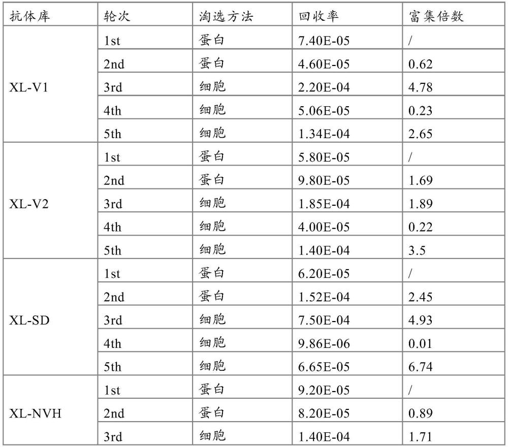 一種雙靶向BCMA/GPRC5D的嵌合分子受體及其應(yīng)用的制作方法