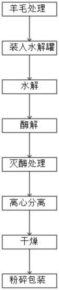 一種飼用酶解羊毛蛋白肽粉的加工方法與流程