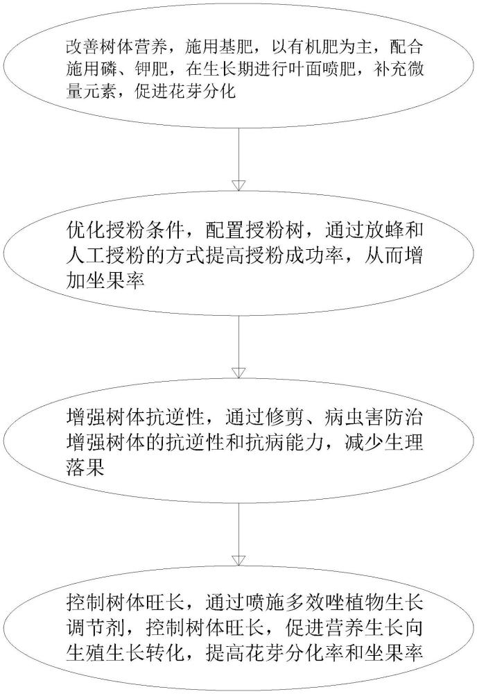 提高大櫻桃成花及坐果率的方法與流程