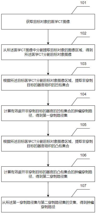 腫瘤穿刺路徑規(guī)劃方法及相關裝置與流程