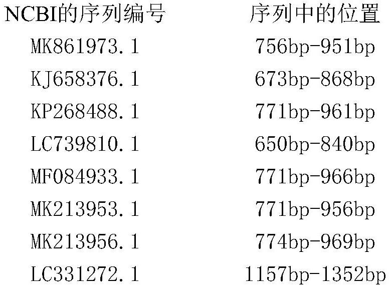 鑒定環(huán)境水體中g(shù)eosmin產(chǎn)嗅藻種類的引物、鑒定方法