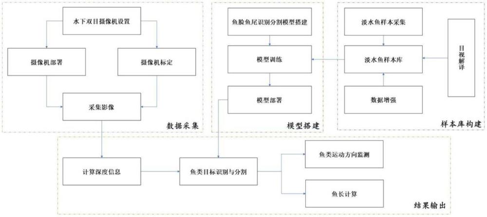 一種基于雙目視覺(jué)與深度學(xué)習(xí)模型的魚(yú)類(lèi)監(jiān)測(cè)方法與流程