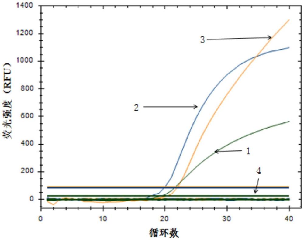 一種特異組合物及試劑盒、檢測(cè)方法與流程