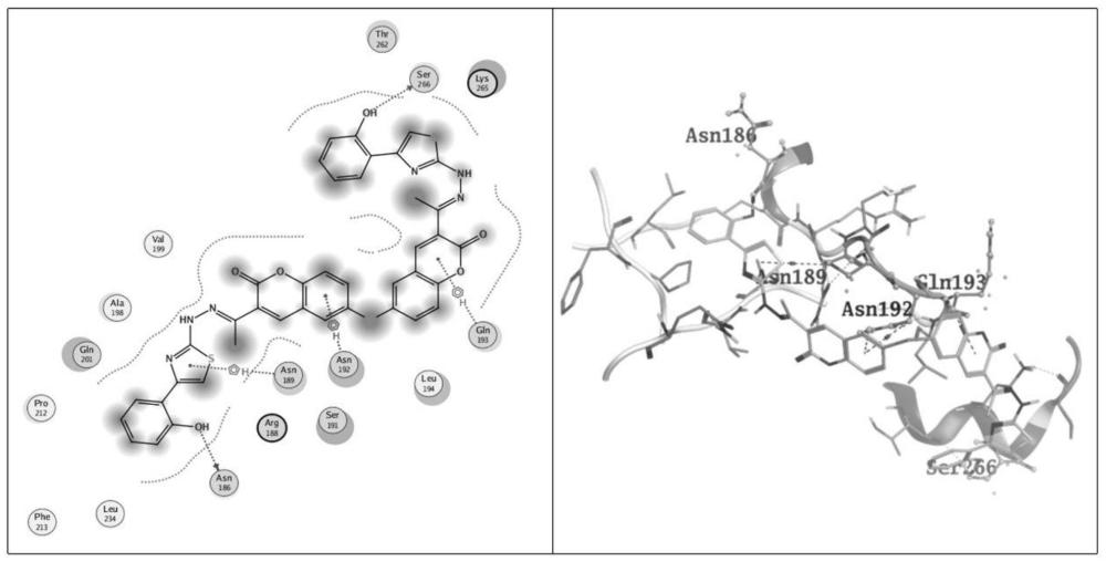 一種香豆素硒醚噻唑腙類衍生物及其制備方法和應(yīng)用