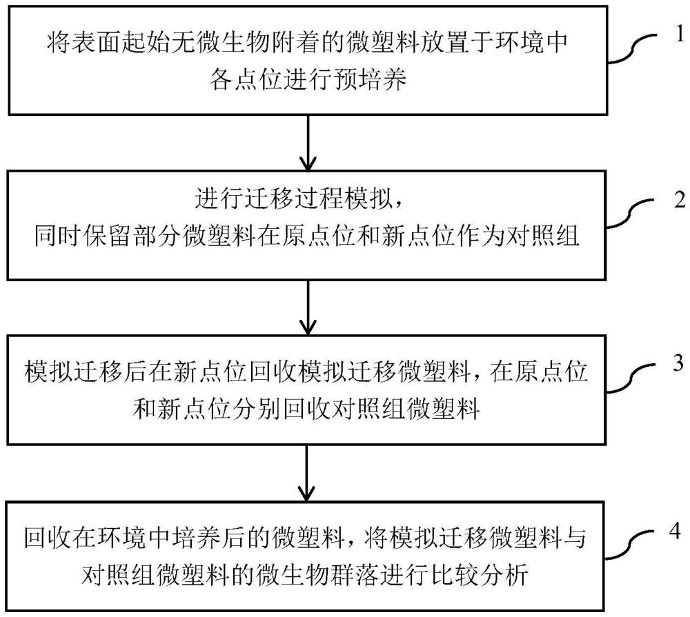 一種環(huán)境遷移中微塑料表面微生物群落變化動(dòng)態(tài)實(shí)現(xiàn)方法