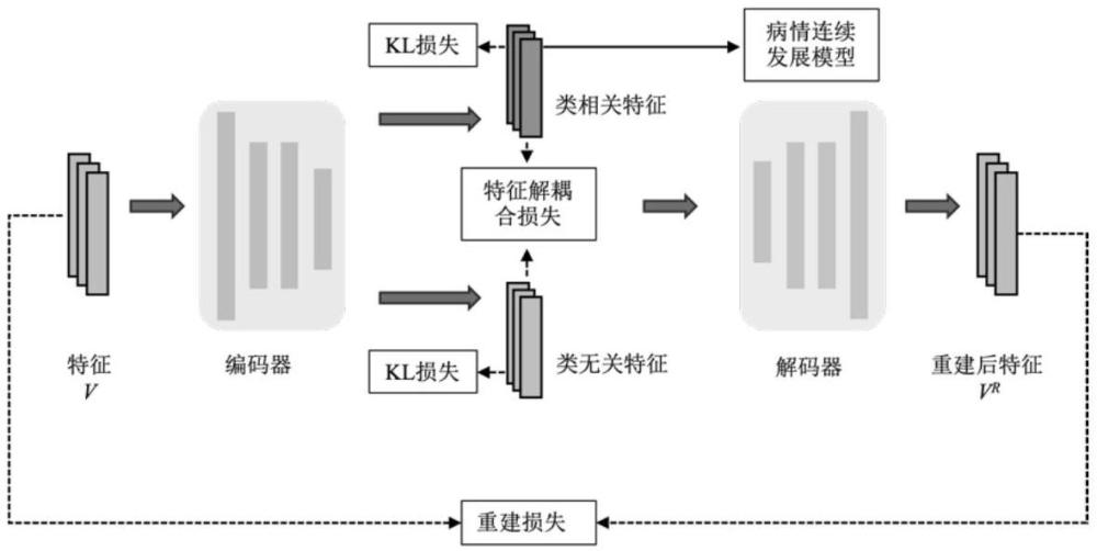 用于超廣角眼底圖像的糖尿病視網(wǎng)膜病變特征解耦合方法