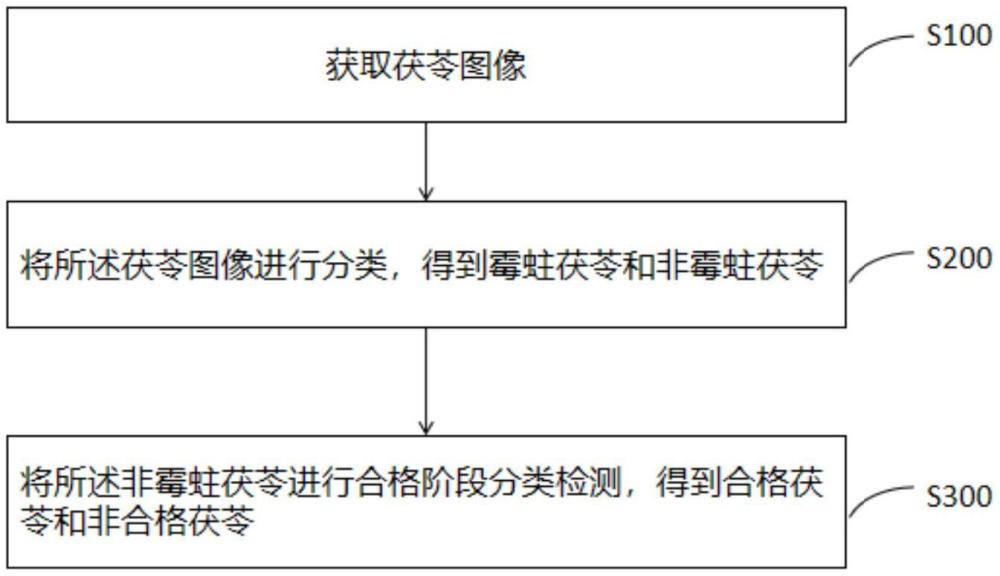 多階段分類茯苓的方法和裝置與流程