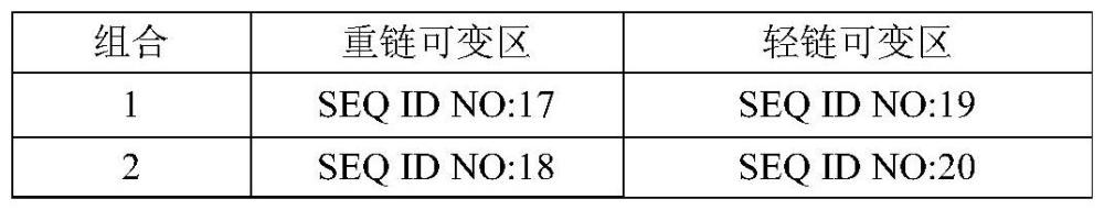 抗穆勒氏管激素抗体、检测穆勒氏管激素的试剂和试剂盒的制作方法