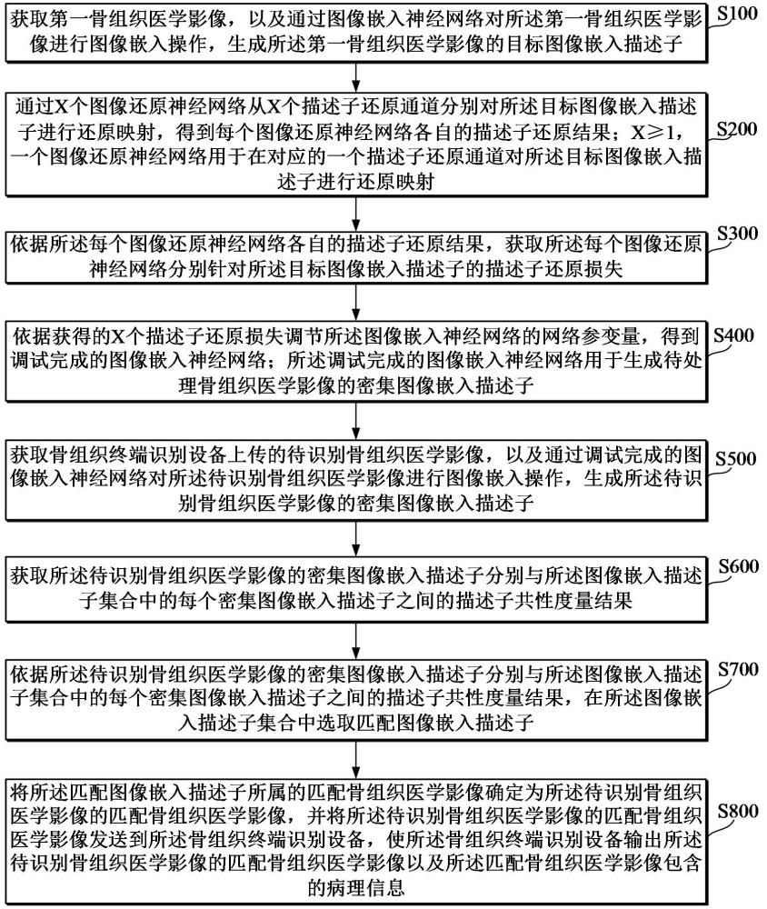 骨组织病理识别方法及系统与流程