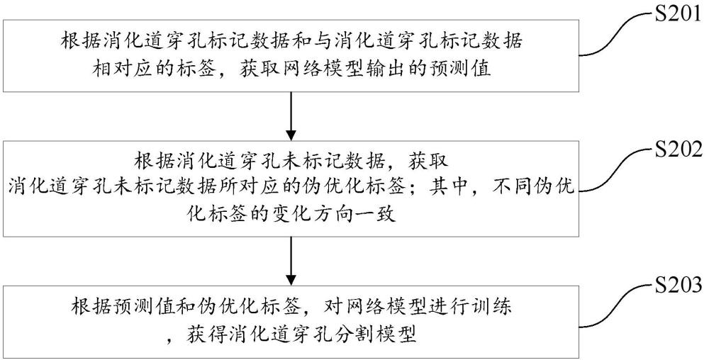 用于消化道穿孔分割模型的训练方法、识别方法及装置与流程