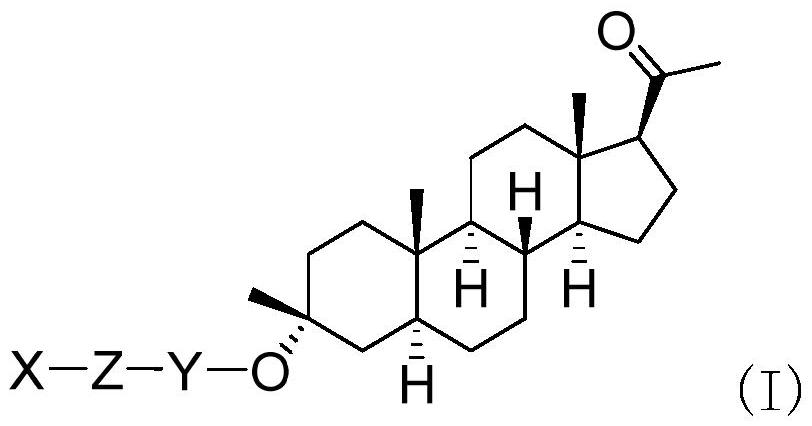 加奈索酮的前藥的制作方法